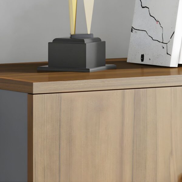 executive office seat, mesh visitors office seat, 2-door mahogany filing cabinet, ergonomic office seat