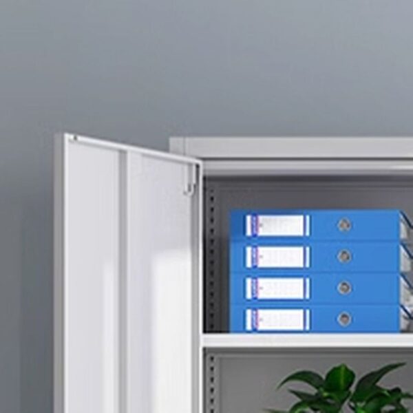 Half glass filling office cabinet, reception desk, secretarial office chair, workstations, filling locker cabinets, waiting Sofas
