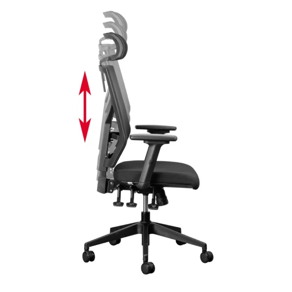 Ergonomic seat, butterfly seat, executive desk, metallic filling cabinets, safe, CEO office seat, banquet seat