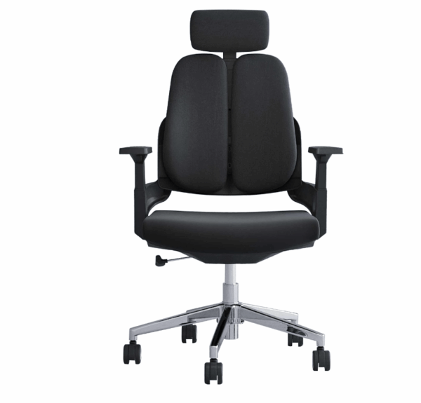 Ergonomic seat, butterfly seat, executive desk, metallic filling cabinets, safe, CEO office seat, banquet seat