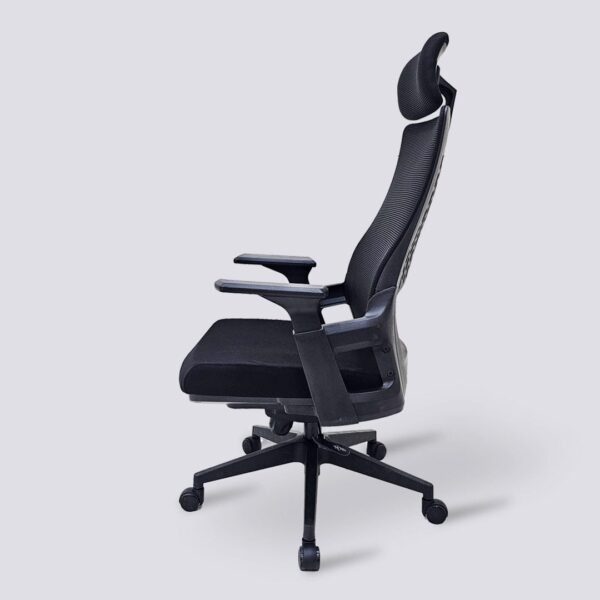 Dual Orthopedic Office Chair, Ergonomic office chair, Directors Office Chair, recliner directors seat, Mahogany Coat HANGER, 1.2m executive office desk, Filling cabinet, Mesh chair, executive visitors seat