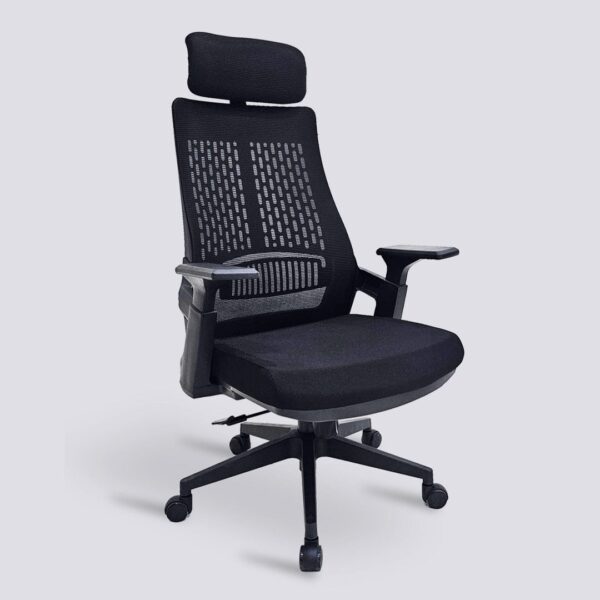 Dual Orthopedic Office Chair, Ergonomic office chair, Directors Office Chair, recliner directors seat, Mahogany Coat HANGER, 1.2m executive office desk, Filling cabinet, Mesh chair, executive visitors seat