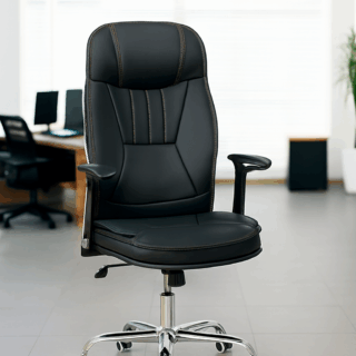 .Executive desk, wooden credenza, visitors chairs, mahogany coat hanger, link chairs, dressing mirrors, headrest office chair, reception desk, study desk, boardroom table, filling cabinet, directors chair, orthopedic chair,