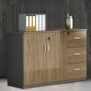 Workstation, Reception desk, Waiting sofa, 2-Door wooden credenza, Movable pedestal, Filing cabinet, coat hangers, Dining table,